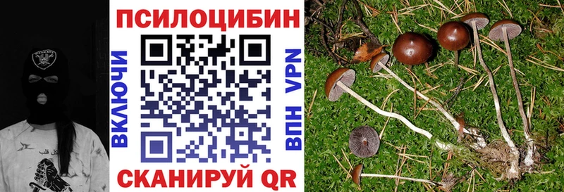 Псилоцибиновые грибы мухоморы  Кондрово 